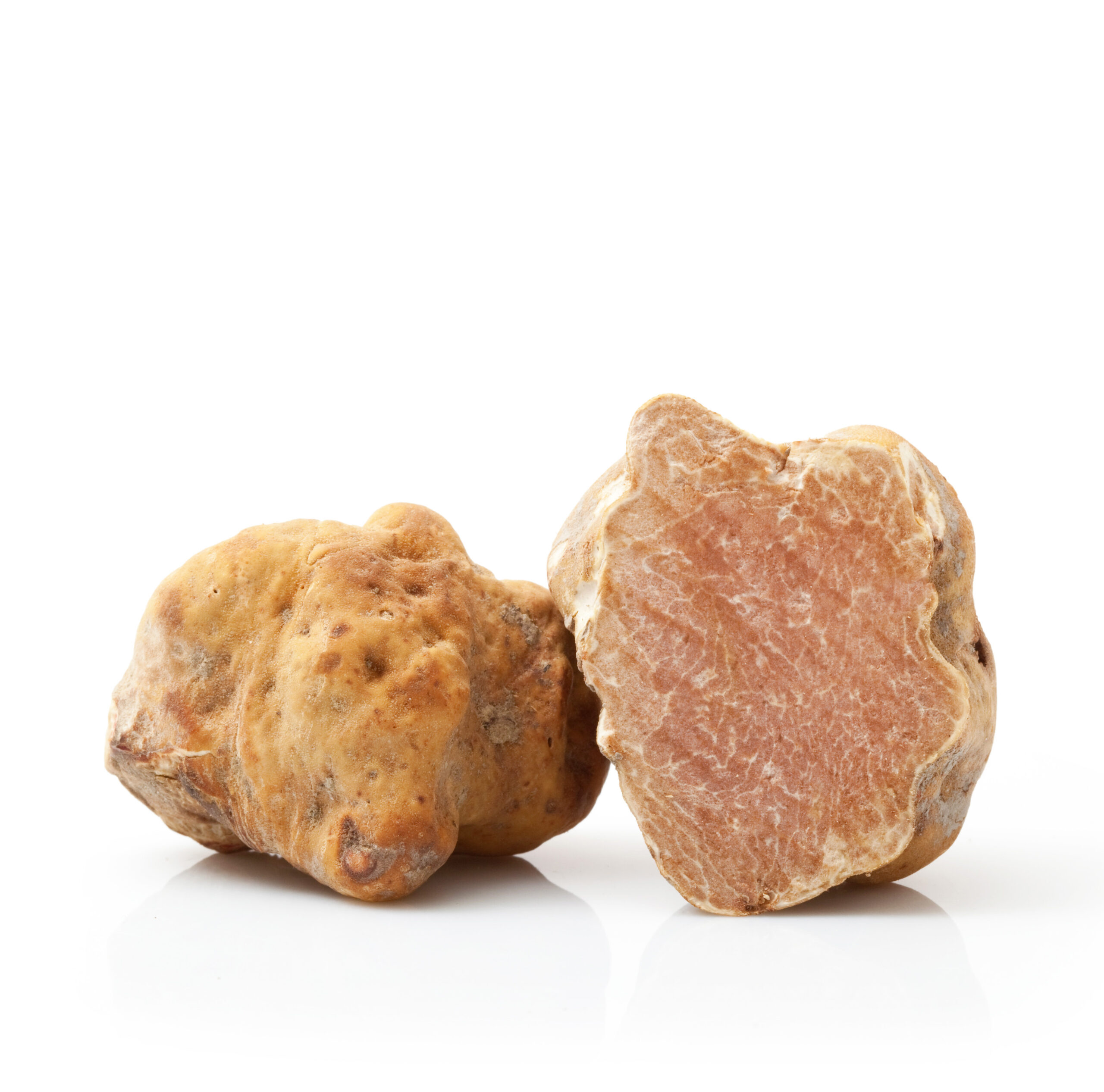 original italian white truffle on white background